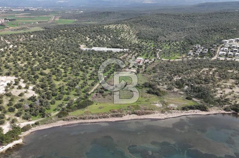 Gömeç'te Denize Yakın Satılık Villa Arsası