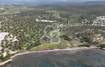 Gömeç'te Denize Yakın Satılık Villa Arsası