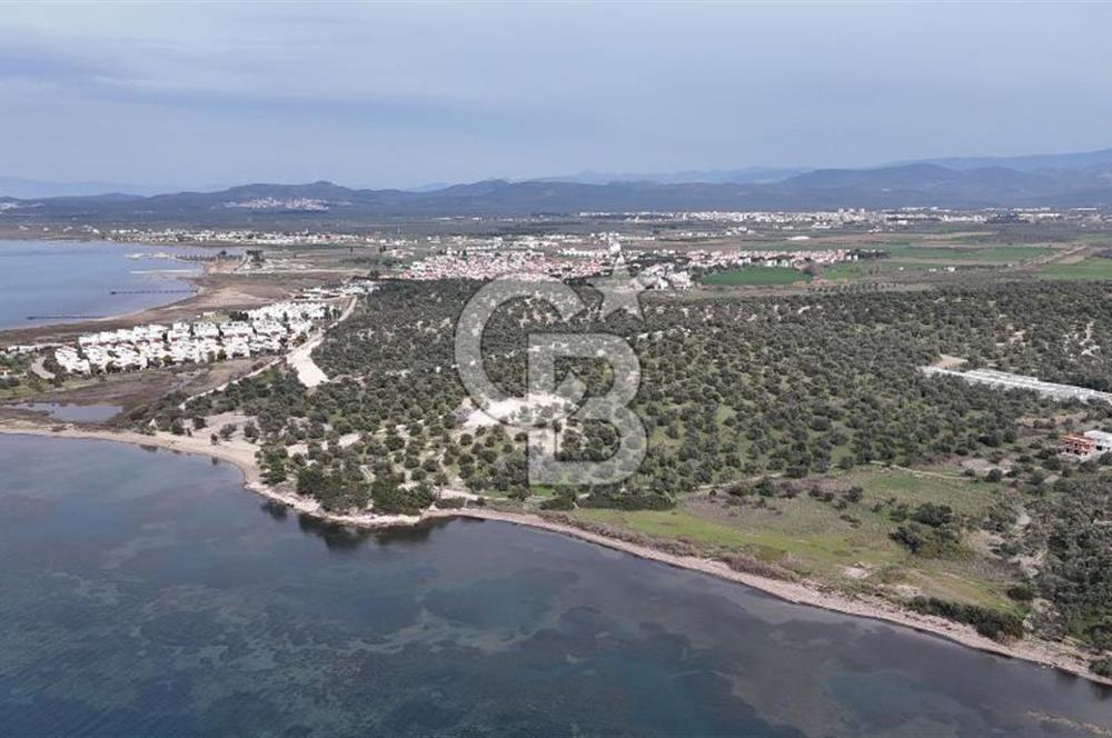 Gömeç'te Denize Yakın Satılık Villa Arsası