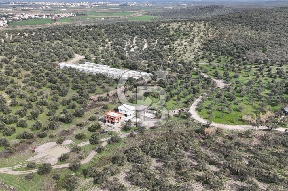 Gömeç'te Denize Yakın Satılık Villa Arsası