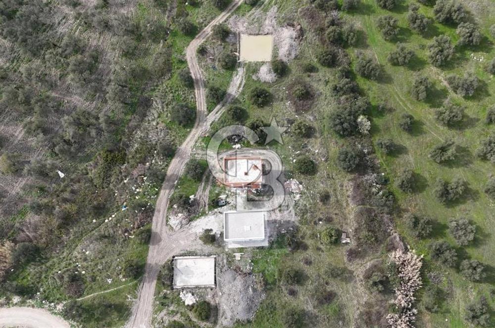 Gömeç'te Denize Yakın Satılık Villa Arsası