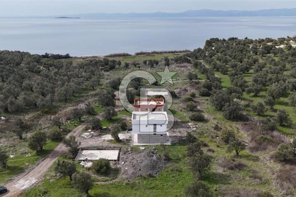 Gömeç'te Denize Yakın Satılık Villa Arsası