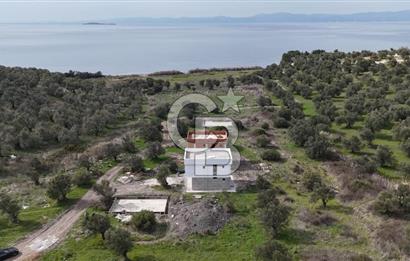 Gömeç'te Denize Yakın Satılık Villa Arsası