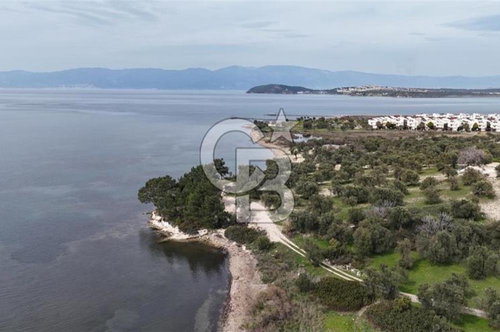 Gömeç'te Denize Yakın Satılık Villa Arsası