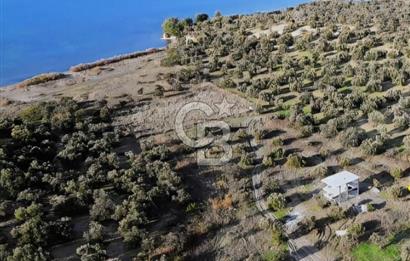 Gömeç'te Denize Yakın Satılık Villa Arsası