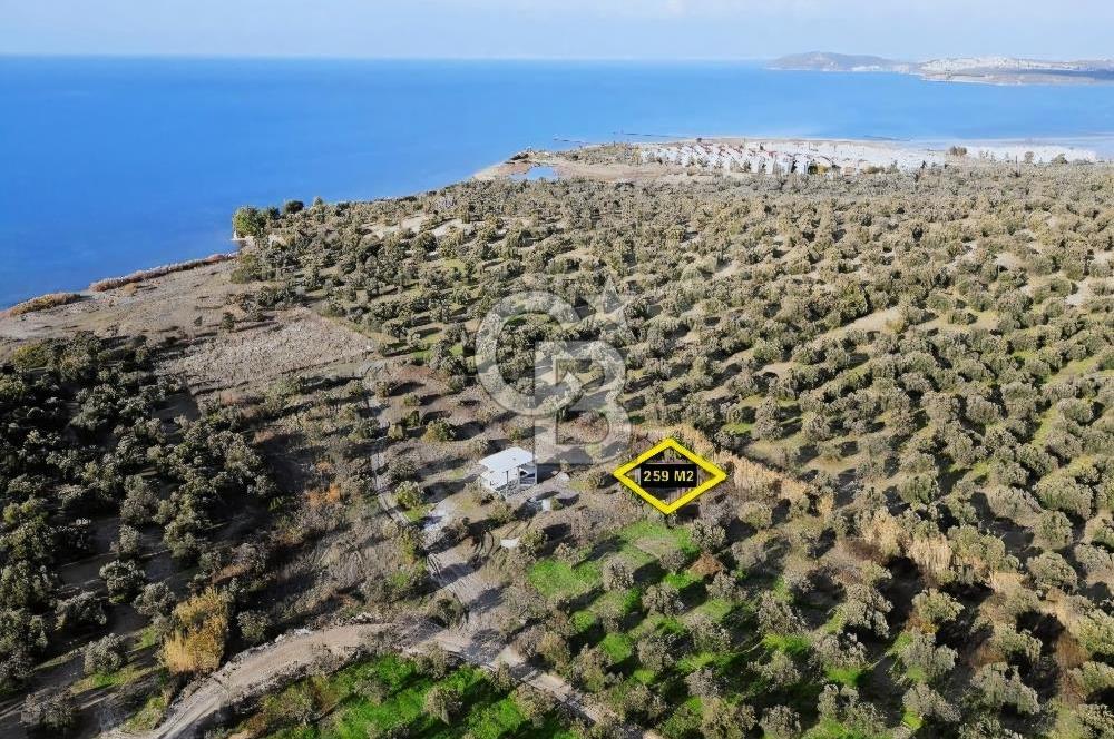 Gömeç'te Denize Yakın Satılık Villa Arsası