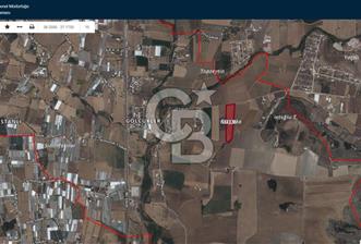 Menderes Gölcükler Kadastral Yolu Olan Satılık Bağ - 4 - 313011