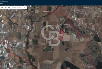 Menderes Gölcükler Kadastral Yolu, Altyapısı ve Evi Bulunan  Zeytinlik - 6 - 313017