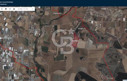 Menderes Gölcükler Kadastral Yolu, Altyapısı ve Evi Bulunan  Zeytinlik