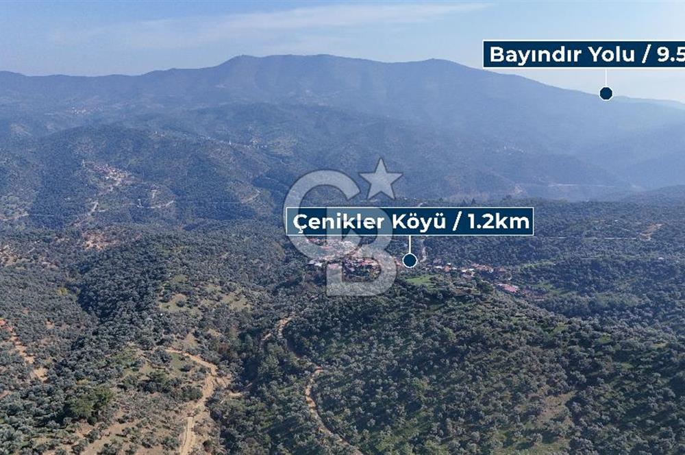 Bayındır Çenikler'de Satılık Zeytinlik