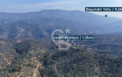 Bayındır Çenikler'de Satılık Zeytinlik