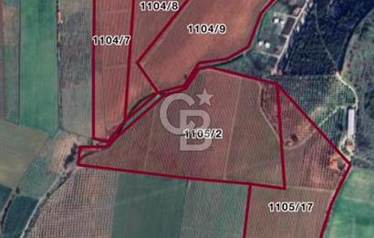 Menderes Gölcükler Kadastral Yolu, Altyapısı ve Evi Bulunan  Zeytinlik