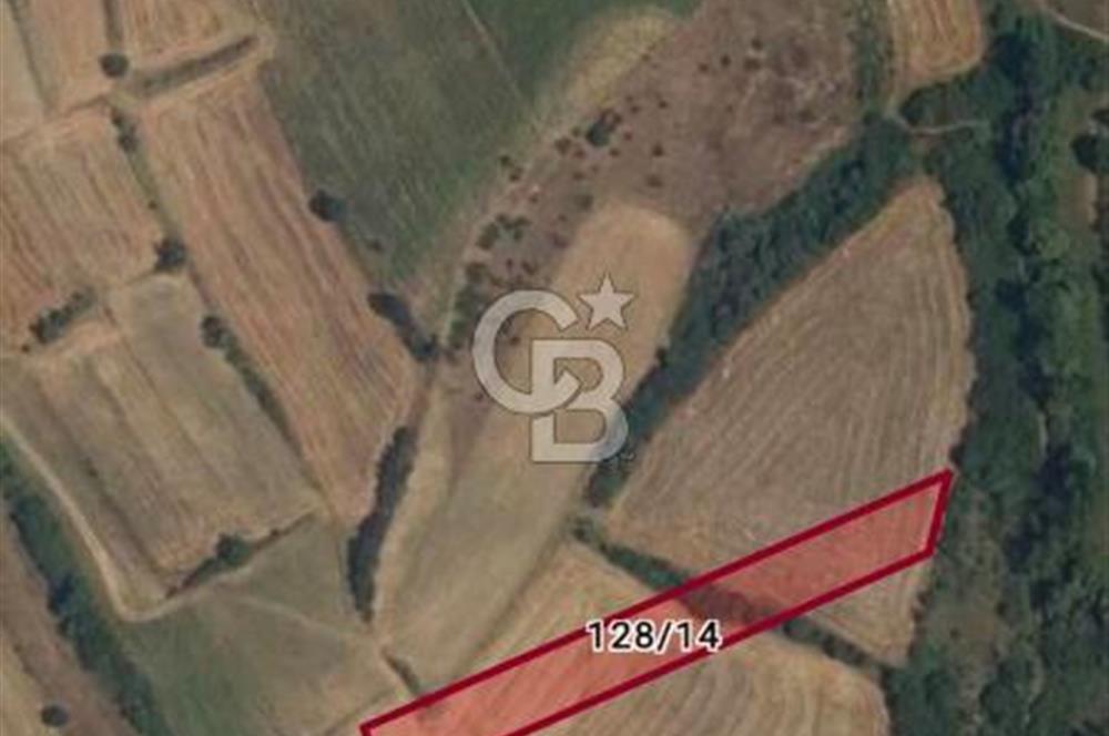 Uzunköprü tek tapu kelepir tarla