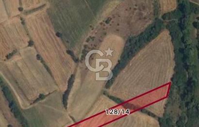 Uzunköprü tek tapu kelepir tarla