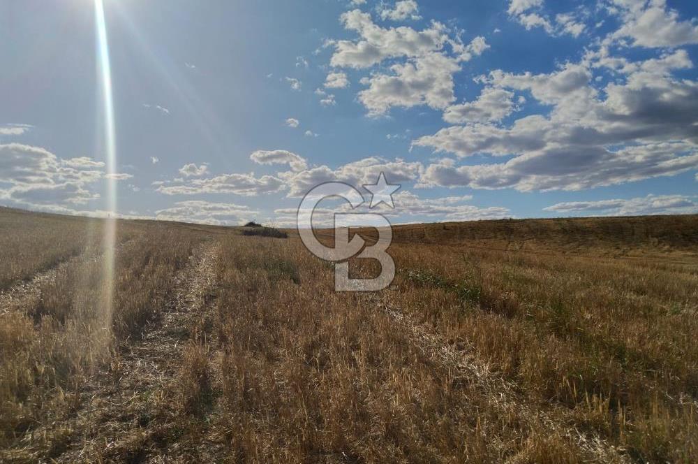 Uzunköprü tek tapu kelepir tarla