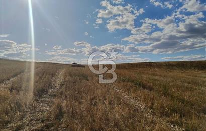 Uzunköprü tek tapu kelepir tarla