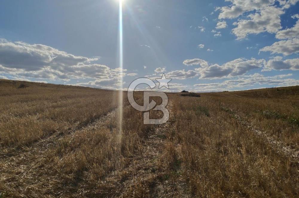 Uzunköprü tek tapu kelepir tarla