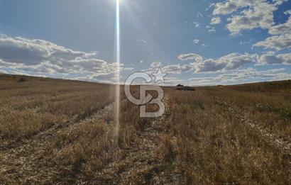 Uzunköprü tek tapu kelepir tarla