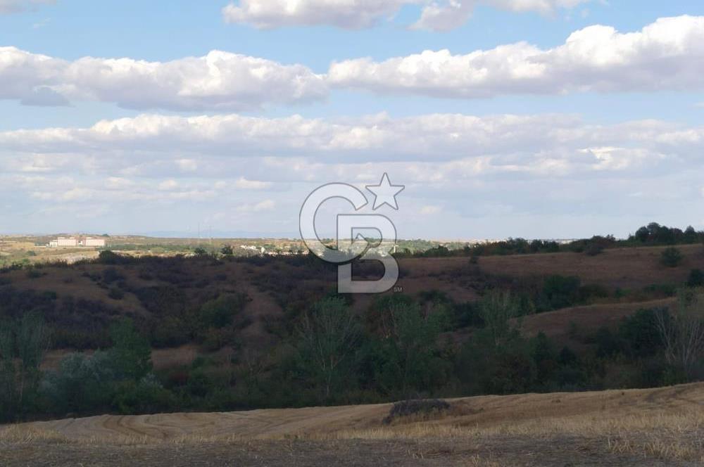 Uzunköprü tek tapu kelepir tarla