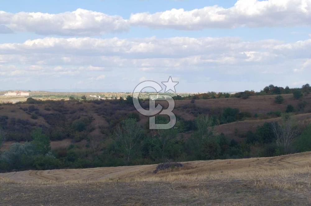 Uzunköprü tek tapu kelepir tarla