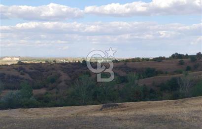 Uzunköprü tek tapu kelepir tarla