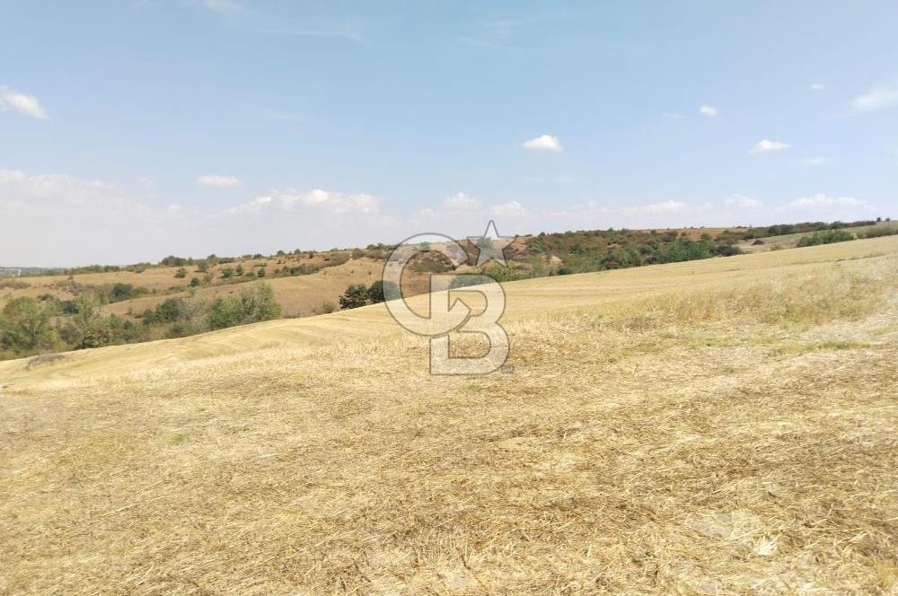 Uzunköprü tek tapu kelepir tarla