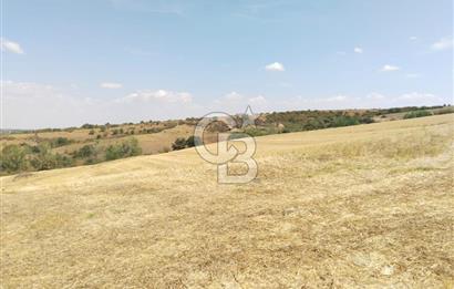 Uzunköprü tek tapu kelepir tarla