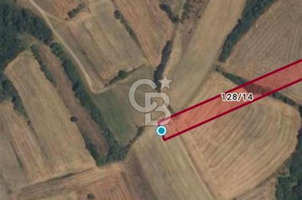 Uzunköprü tek tapu kelepir tarla