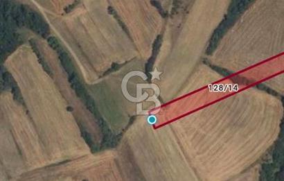 Uzunköprü tek tapu kelepir tarla