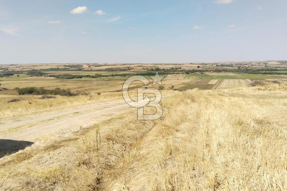 Uzunköprü tek tapu kelepir tarla