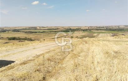 Uzunköprü tek tapu kelepir tarla