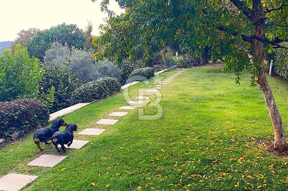 Çekmeköy Mayavera 1.Etap Kiralık Tripleks Villa