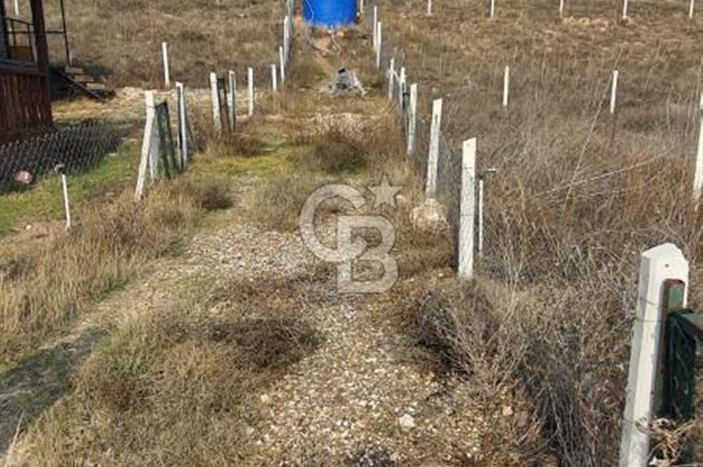 CB CITY'DEN KIZILİNLER DE SATILIK TARLA