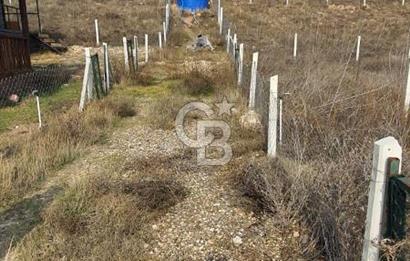 CB CITY'DEN KIZILİNLER DE SATILIK TARLA