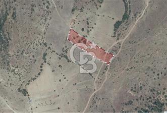 CB ÖMER ÜNSAL'DAN ACİL SATILIK 6039 m² YOLA CEPHE ARSA - 3 - 313053