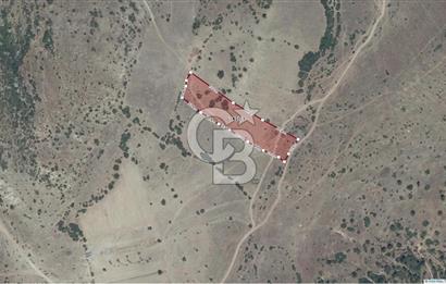 CB ÖMER ÜNSAL'DAN ACİL SATILIK 6039 m² YOLA CEPHE ARSA