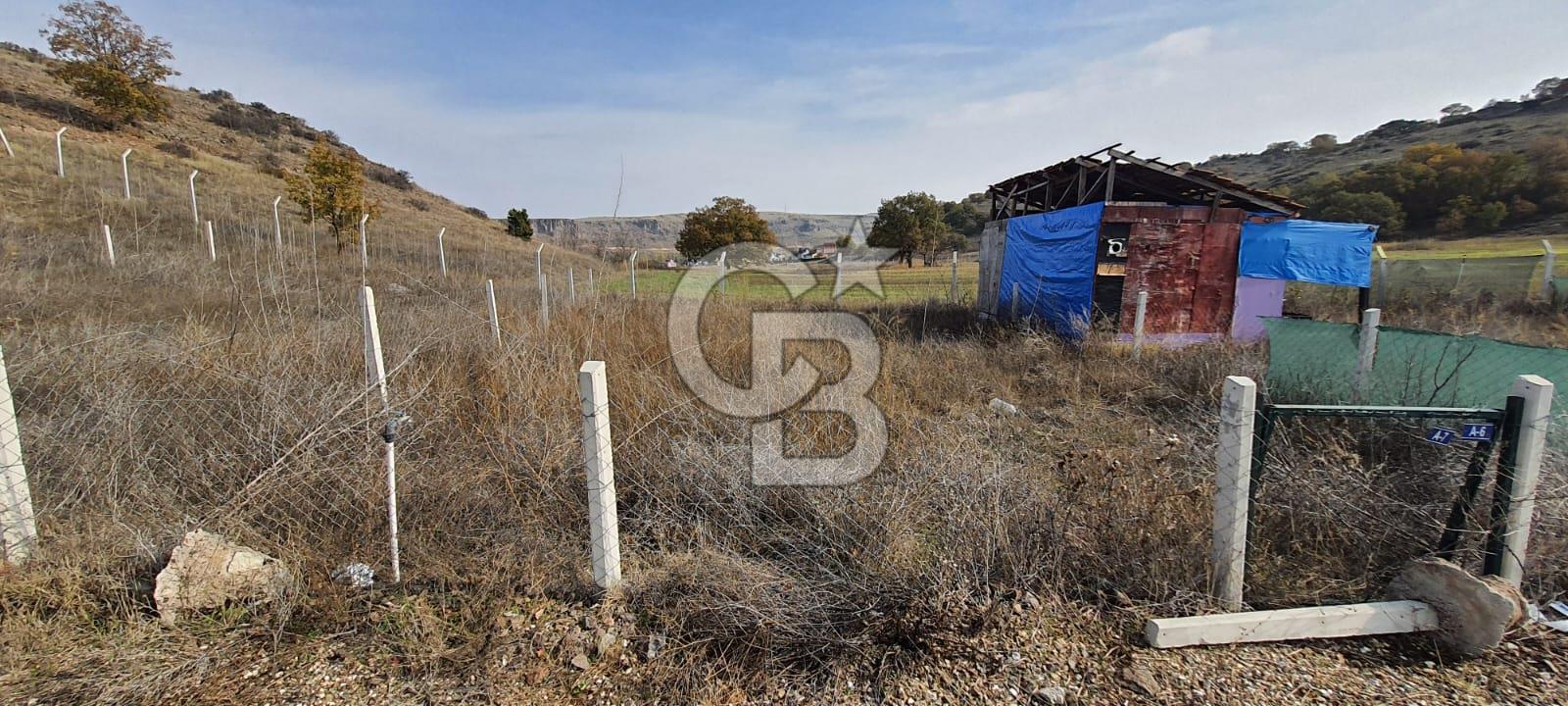 CB CITY'DEN KIZILİNLER DE SATILIK TARLA