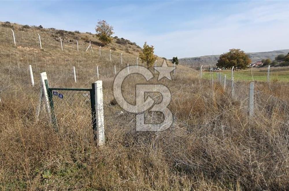 CB CITY'DEN KIZILİNLER DE SATILIK TARLA