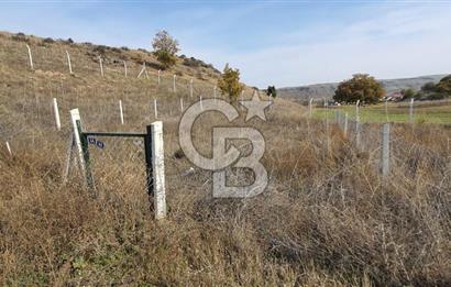 CB CITY'DEN KIZILİNLER DE SATILIK TARLA