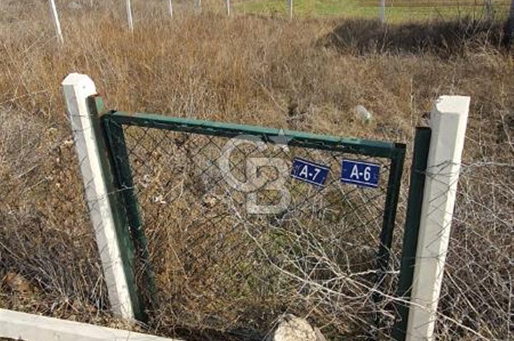 CB CITY'DEN KIZILİNLER DE SATILIK TARLA