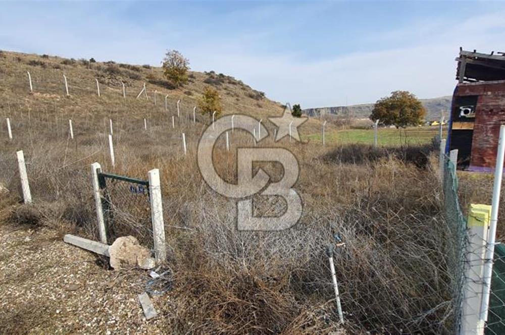 CB CITY'DEN KIZILİNLER DE SATILIK TARLA