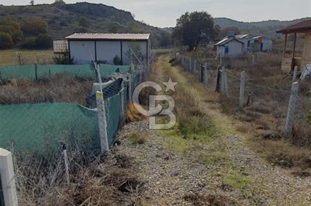 CB CITY'DEN KIZILİNLER DE SATILIK TARLA