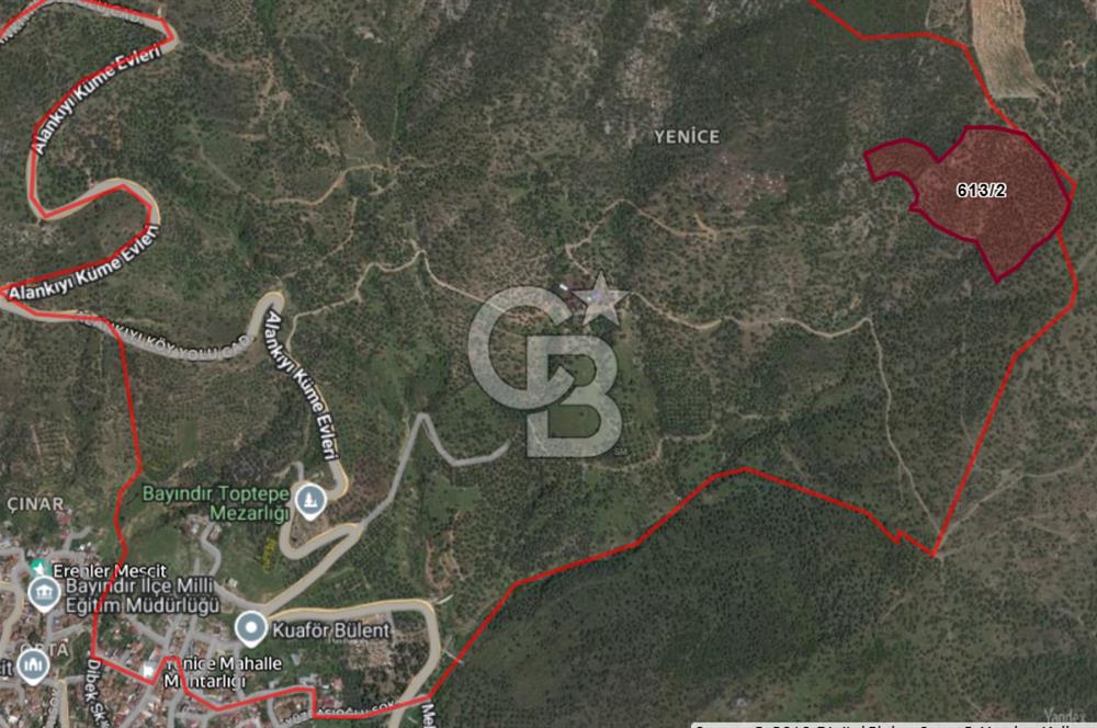   BAYINDIR YENİCE SARIKAVAK MEVKİİN DE 30 DÖNÜM SATILIK ZEYTİNLİK  