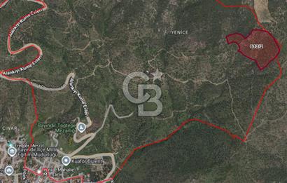   BAYINDIR YENİCE SARIKAVAK MEVKİİN DE 30 DÖNÜM SATILIK ZEYTİNLİK  