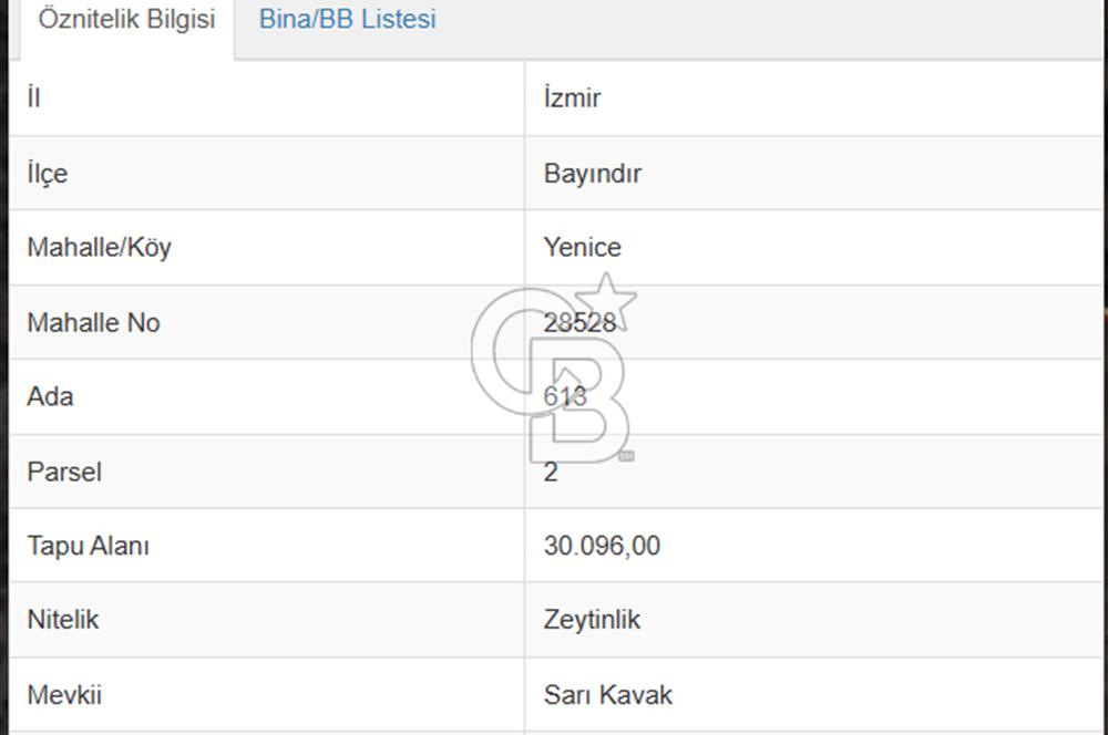   BAYINDIR YENİCE SARIKAVAK MEVKİİN DE 30 DÖNÜM SATILIK ZEYTİNLİK  