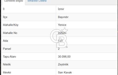  BAYINDIR YENİCE SARIKAVAK MEVKİİN DE 30 DÖNÜM SATILIK ZEYTİNLİK  
