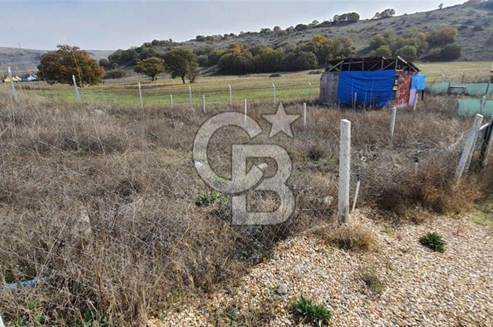 CB CITY'DEN KIZILİNLER DE SATILIK TARLA