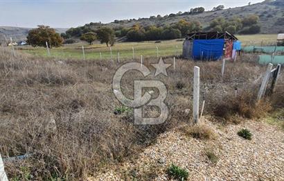 CB CITY'DEN KIZILİNLER DE SATILIK TARLA