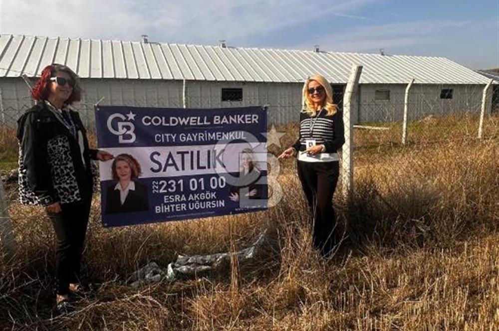 CB CITY'DEN KIZILİNLER DE SATILIK TARLA