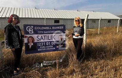 CB CITY'DEN KIZILİNLER DE SATILIK TARLA
